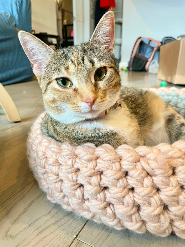 Crochet a Pet Bed (Cambridge)